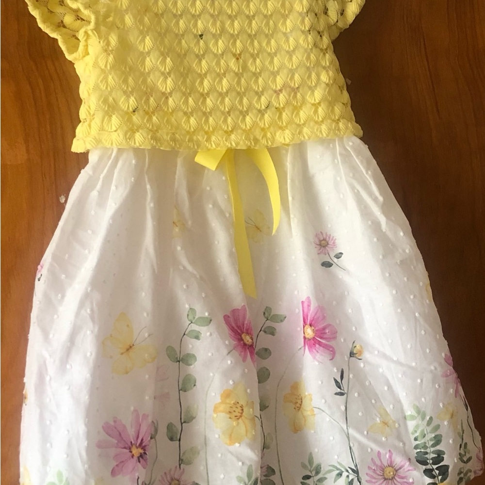 NWT Little girls dress